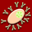 Allergy & Immunology CME