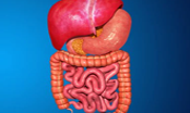 GI System Combo