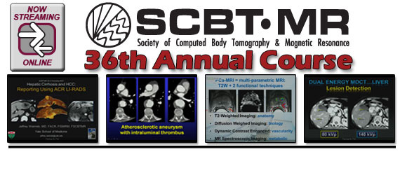 SCBT-MR 36th Annual Course (2013)