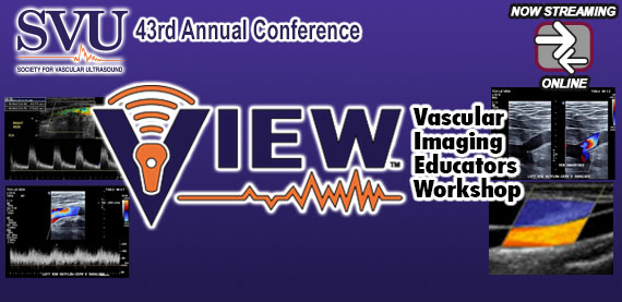 SVU 43: Vascular Imaging Educators Workshop