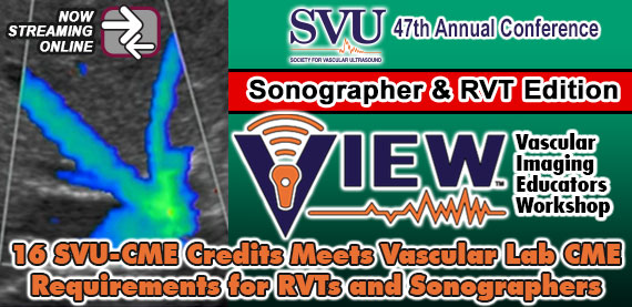 SVU 47: Vascular Imaging Educators Workshop - Sonographer and RVT Edition